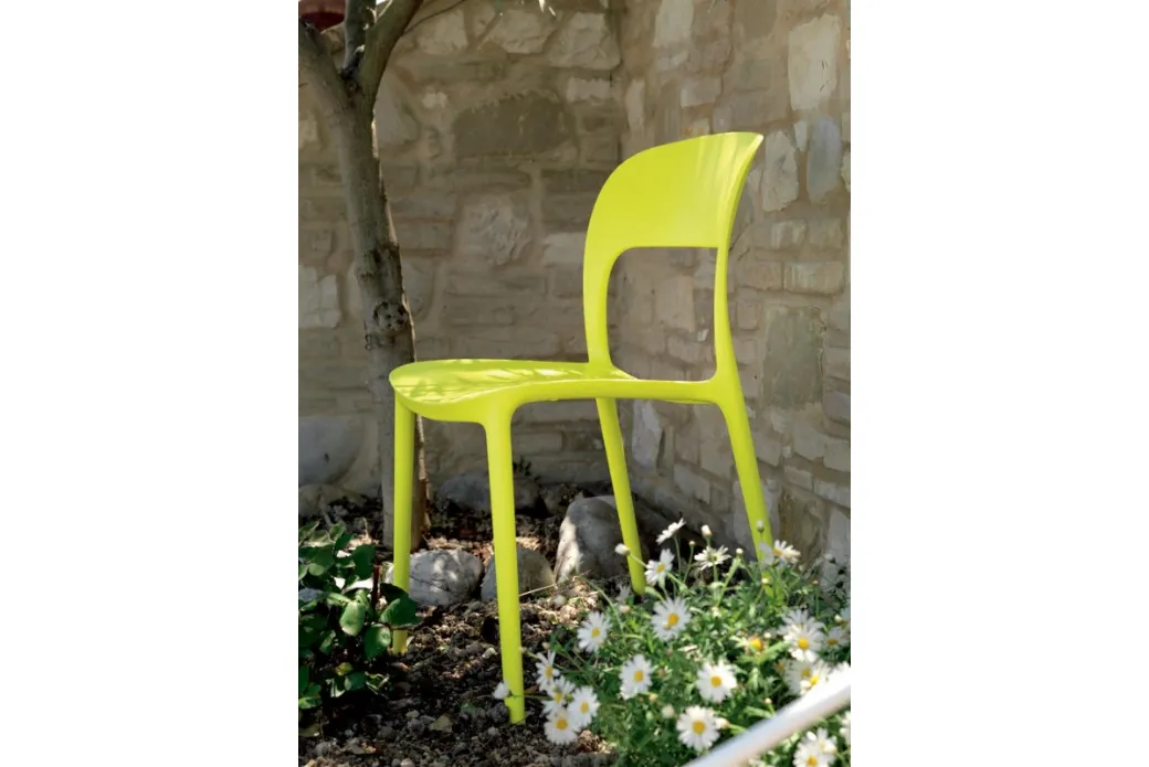 Gipsy Lime président