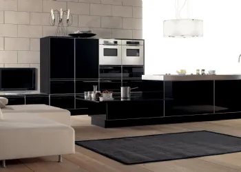 Gloss Black Lacquer Cuisine
