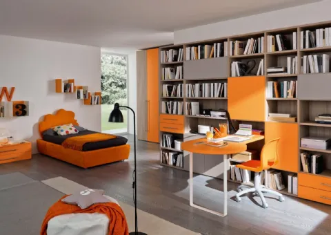 Petite chambre avec bibliothèque et bureau